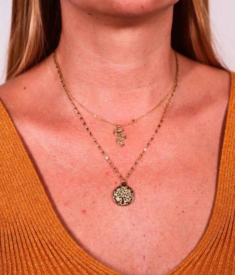 Collier Snake – Image 2
